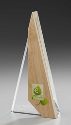 Zeige Details für Pendant Holz Award Bild von Pendant Holz Award